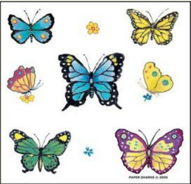 Butterflies